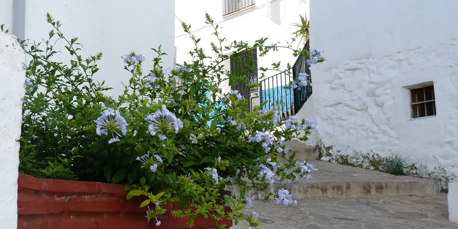 Slider Sostenibilidad